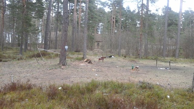 20150504_150018.jpg