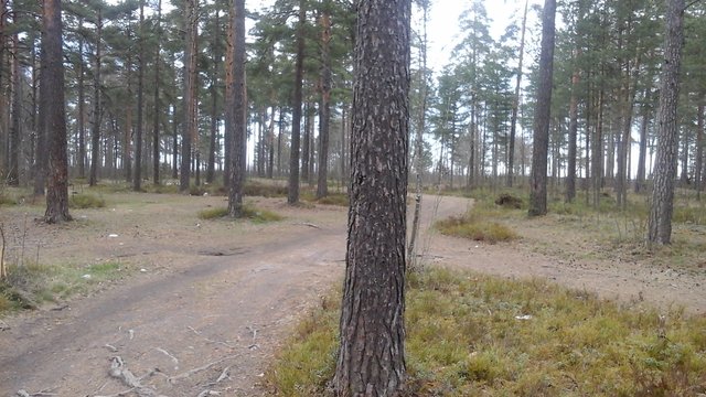20150504_150026.jpg