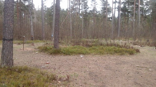 20150504_150044.jpg