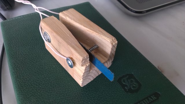 IMAG0677.jpg