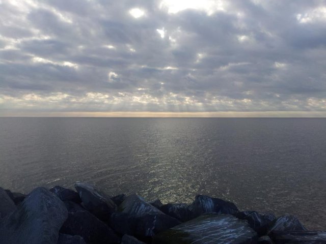 20000209_010526 (Copy).jpg