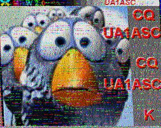 201112102229.jpg