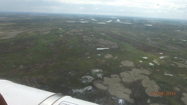 P8010014 (Copy).JPG