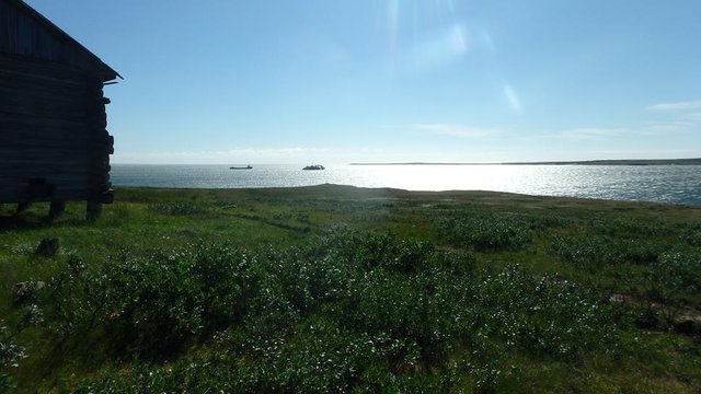 P8040014 (Copy).JPG
