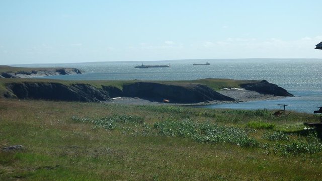 P8040015 (Copy).JPG