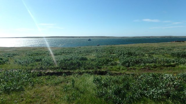 P8040012 (Copy).JPG