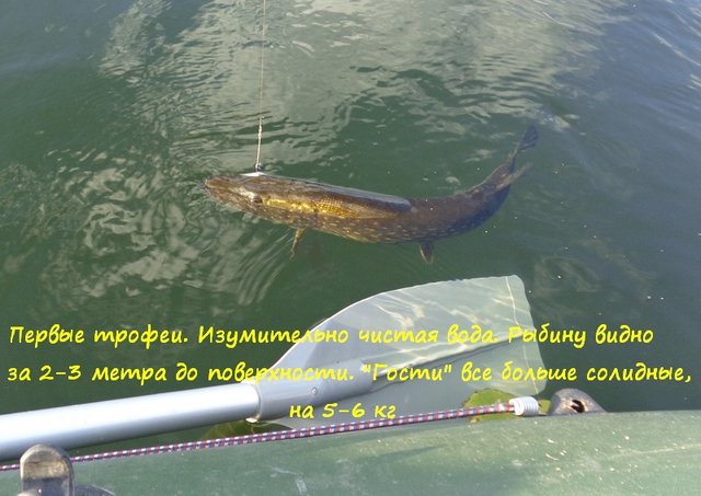 010.jpg