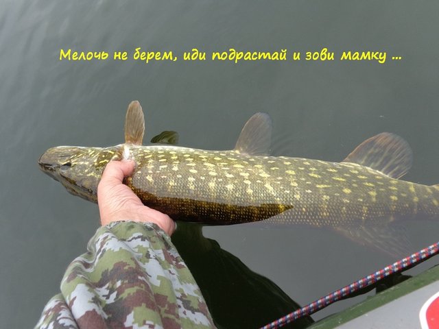 011.jpg