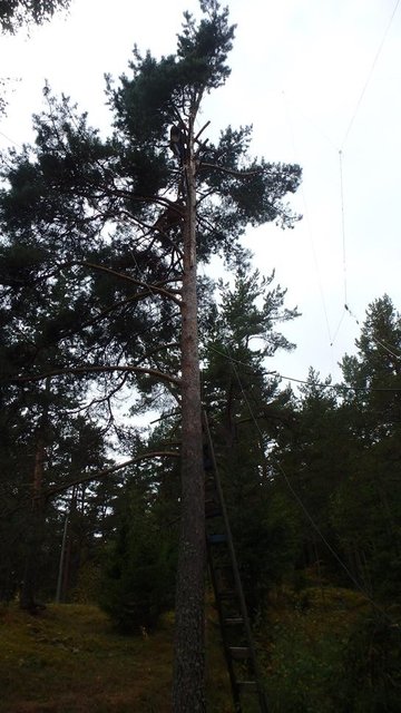 P8290156_m.JPG