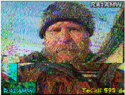 w2.JPG