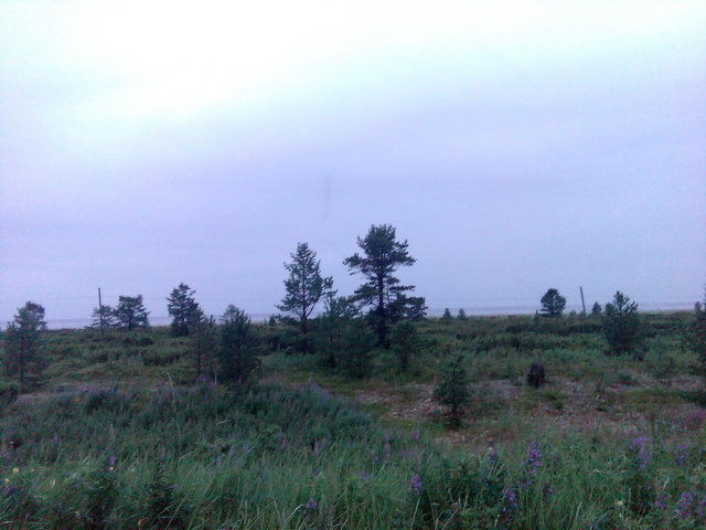 IMG_20150802_220132.jpg